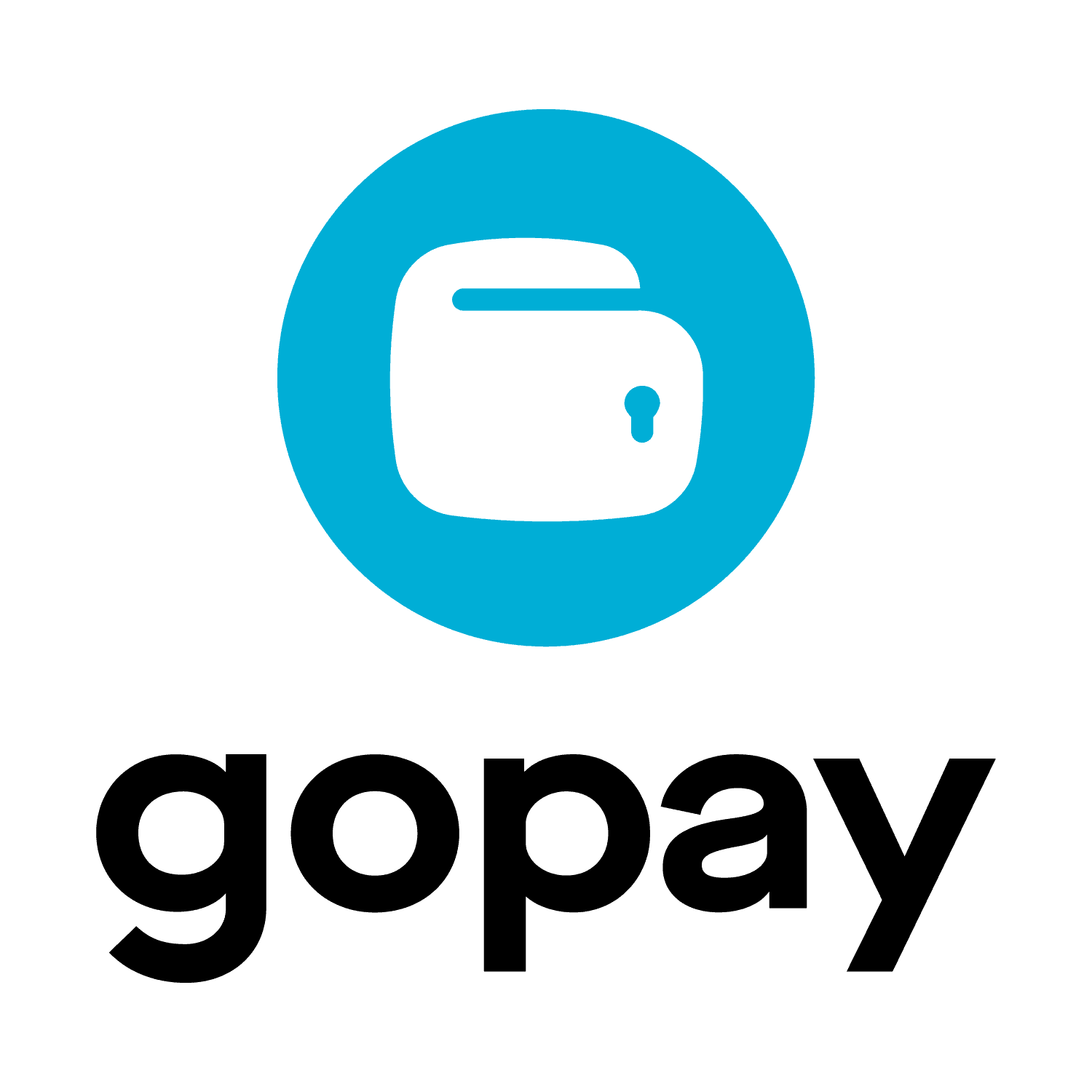 /partners/gopay.png